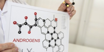 Андрогены (половые гормоны): краткий обзор
