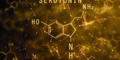 Cеротонин и его роль в организме