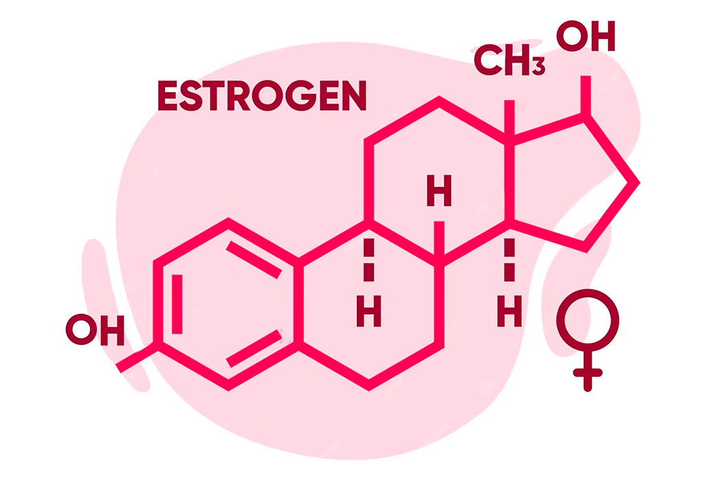Что нужно знать об эстрогене
