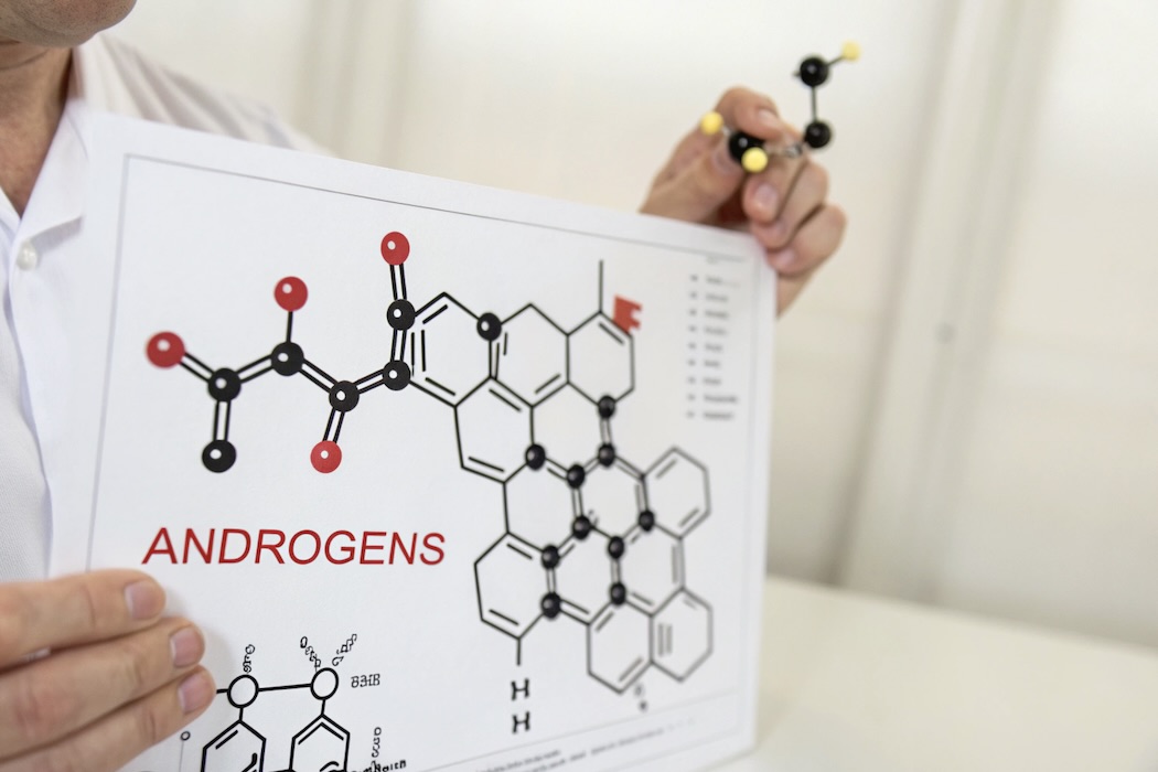 Андрогены (половые гормоны): краткий обзор